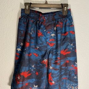 Red, White and Blue Holiday Trunks